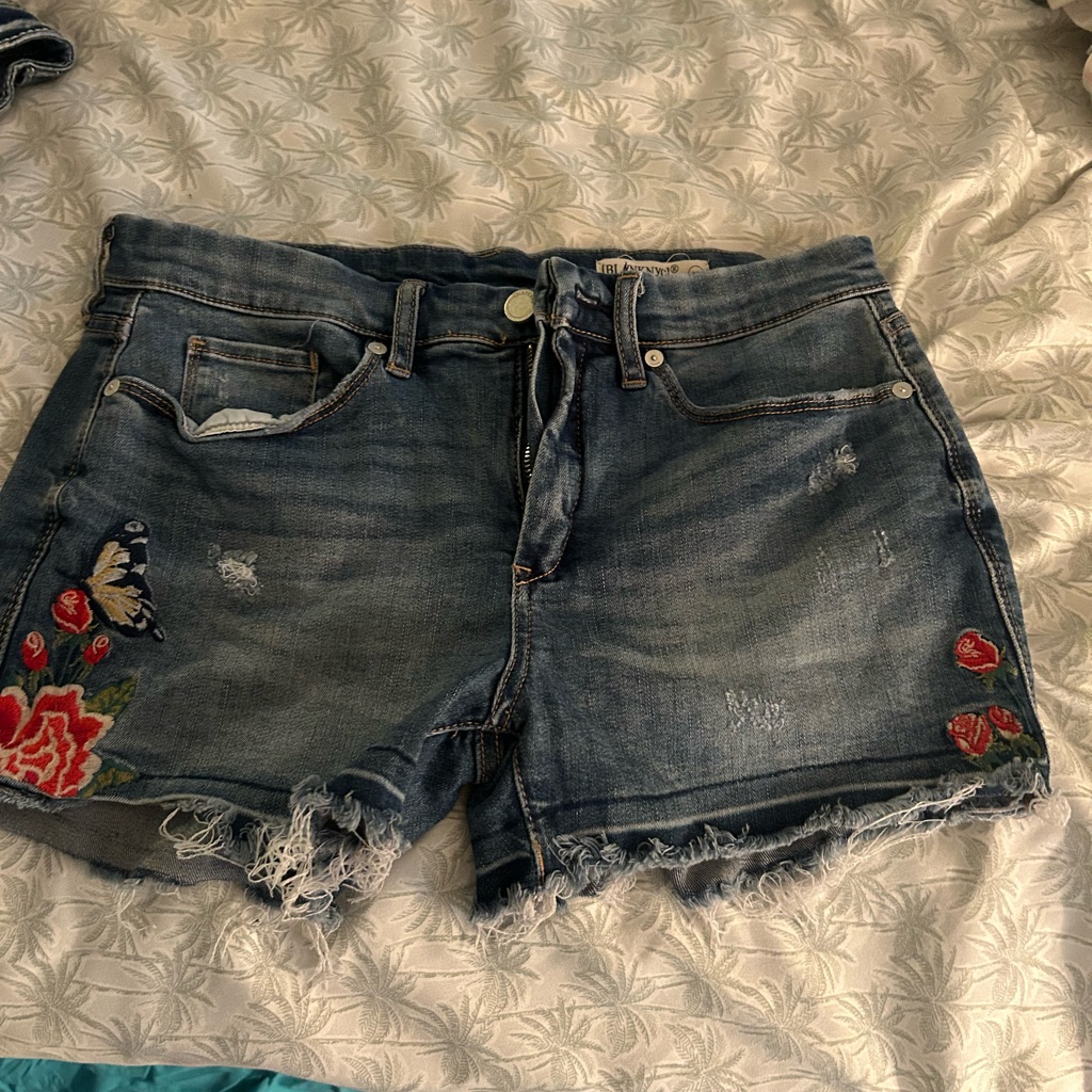 Blanknyc Hiker Embroidered Denim Shorts 29